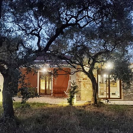 Elea Stone Houses in organic quiet olive grove, Prinos, Thassos Exterior foto