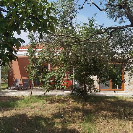 Elea Stone Houses in organic quiet olive grove, Prinos, Thassos Habitación foto