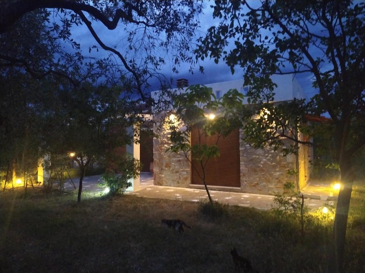 Elea Stone Houses in organic quiet olive grove, Prinos, Thassos Exterior foto