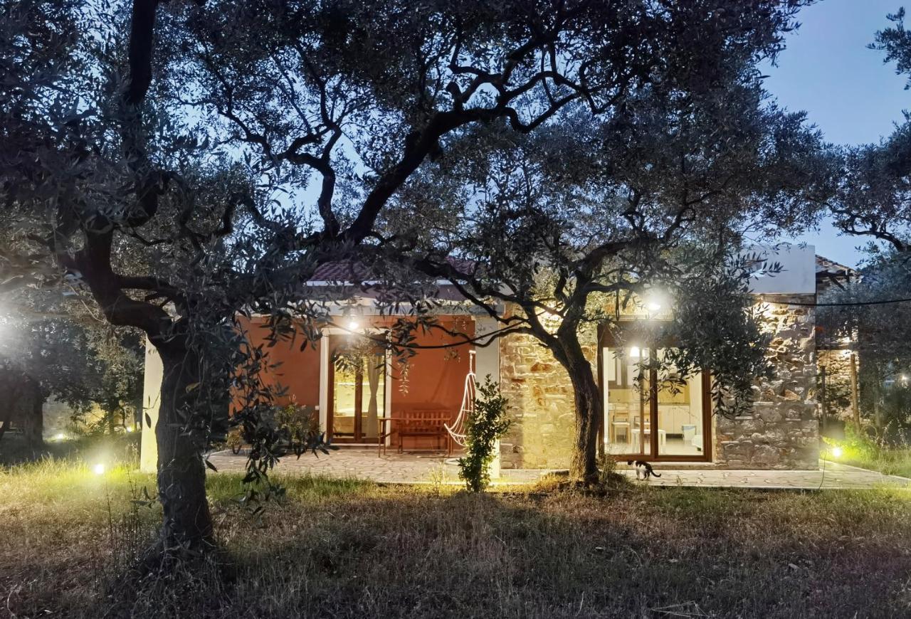 Elea Stone Houses in organic quiet olive grove, Prinos, Thassos Exterior foto