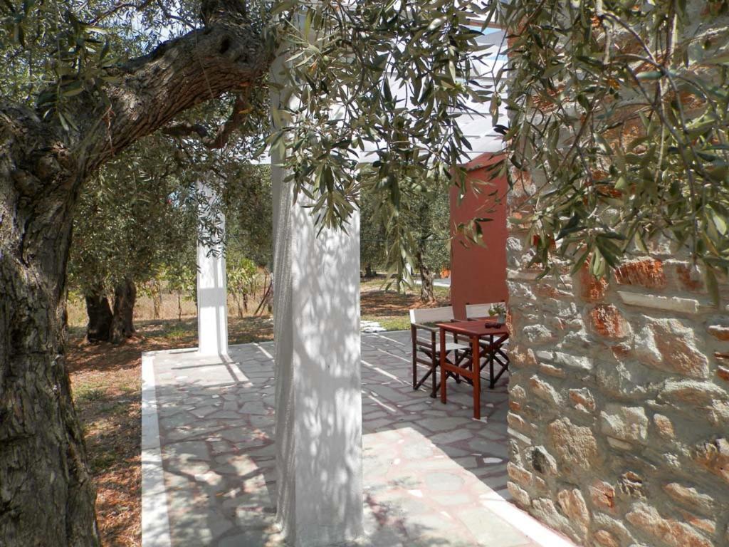 Elea Stone Houses in organic quiet olive grove, Prinos, Thassos Exterior foto