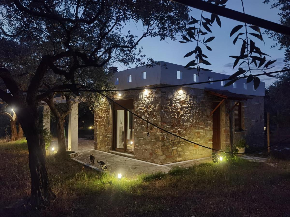 Elea Stone Houses in organic quiet olive grove, Prinos, Thassos Exterior foto