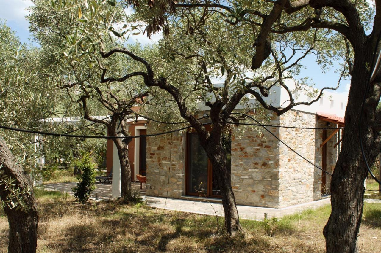 Elea Stone Houses in organic quiet olive grove, Prinos, Thassos Exterior foto
