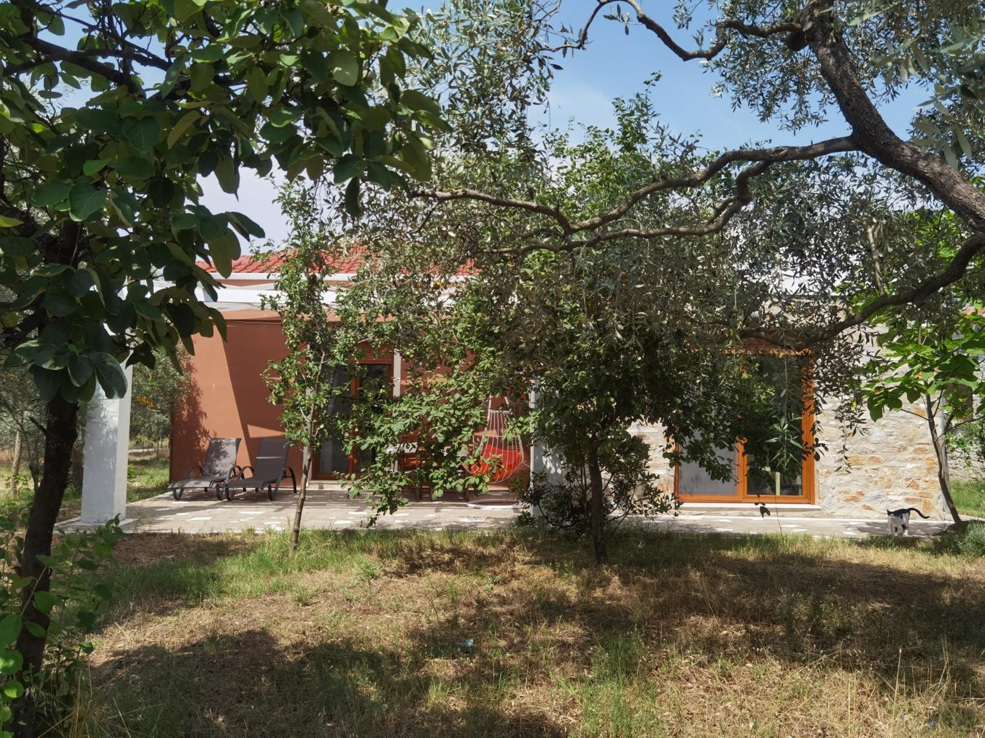 Elea Stone Houses in organic quiet olive grove, Prinos, Thassos Habitación foto