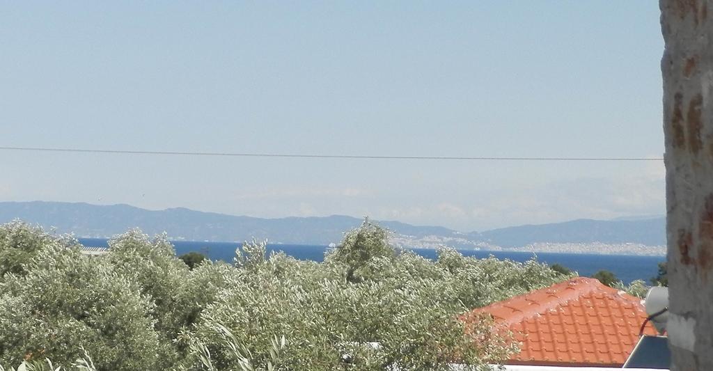 Elea Stone Houses in organic quiet olive grove, Prinos, Thassos Exterior foto