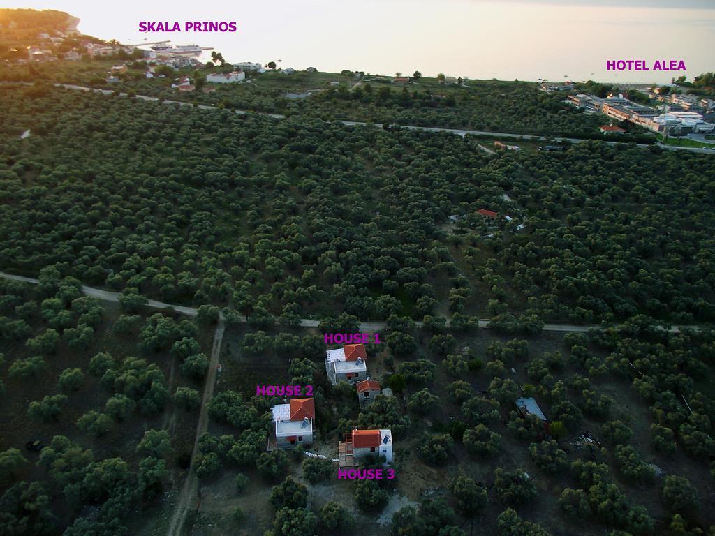 Elea Stone Houses in organic quiet olive grove, Prinos, Thassos Exterior foto