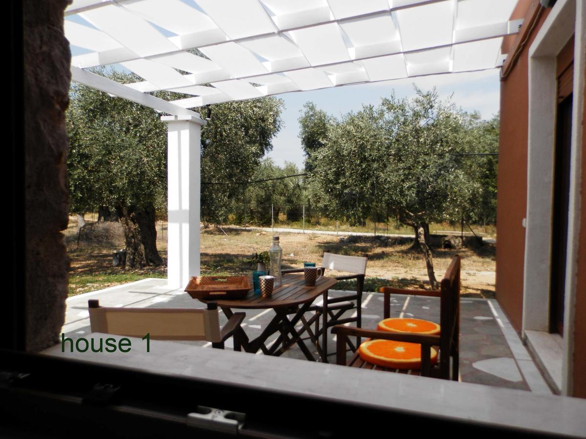 Elea Stone Houses in organic quiet olive grove, Prinos, Thassos Exterior foto