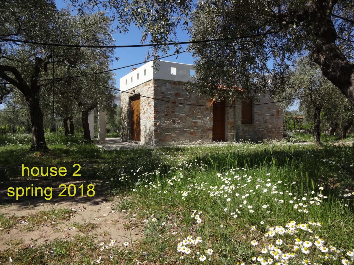 Elea Stone Houses in organic quiet olive grove, Prinos, Thassos Exterior foto