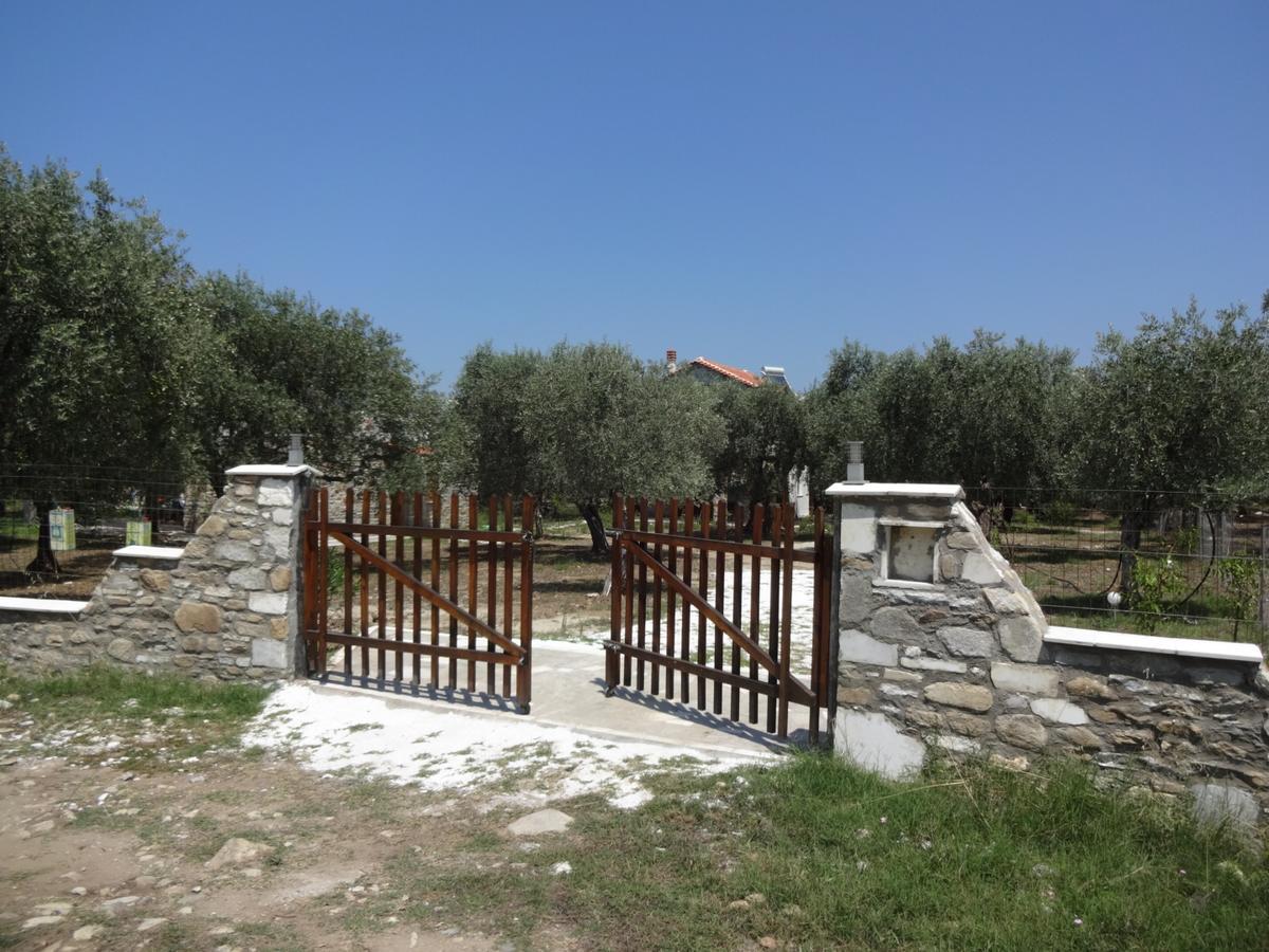 Elea Stone Houses in organic quiet olive grove, Prinos, Thassos Exterior foto